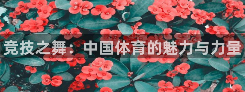 意昂3平台