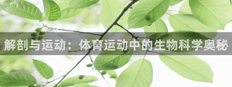 成都意昂3电子有限公司