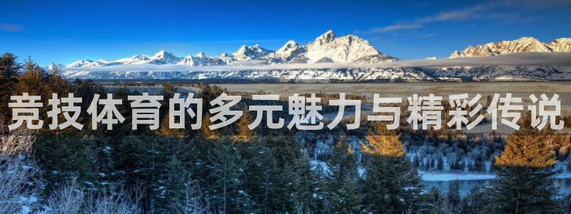 意昂3体育注册登录入口