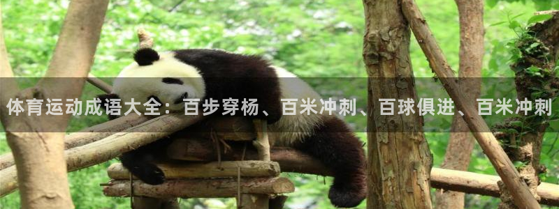 意昂33代理