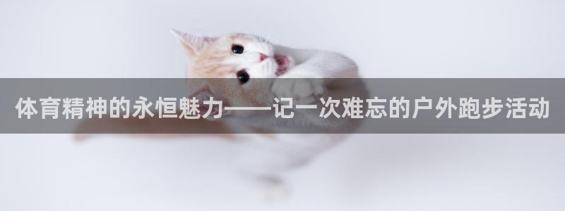 意昂3体育和杏耀是哪个公司的