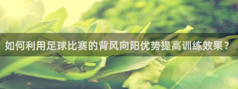 意昂3体育f开号