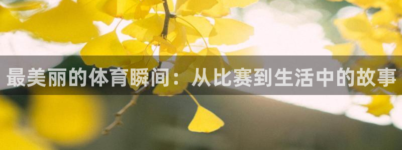 意昂3体育用品
