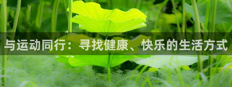意昂3体育app下载