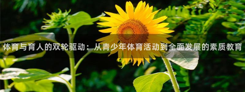 意昂3体育老板是谁