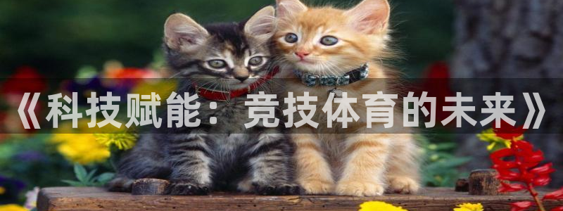 意昂3体育游戏