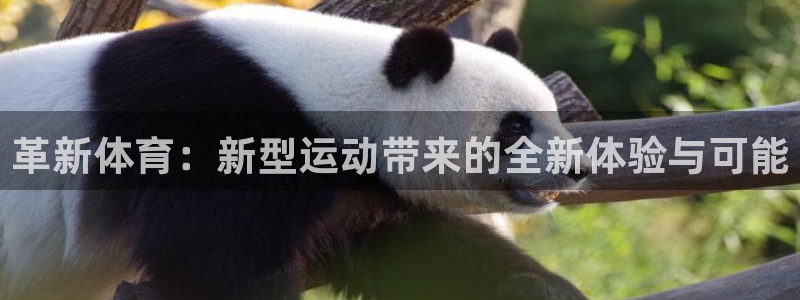 意昂32体育登录入口