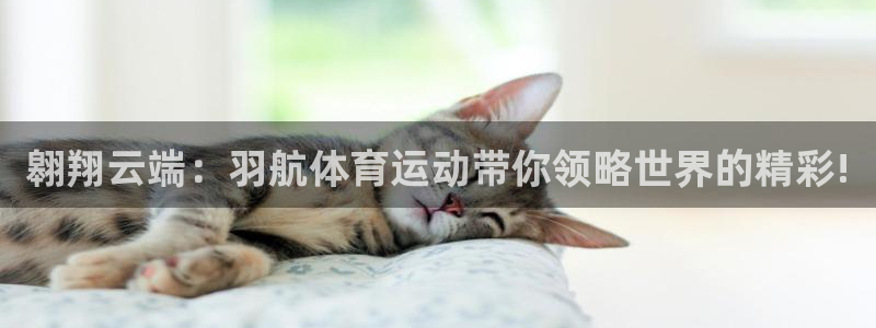 佛山市南海意昂3机电仪器有限公司