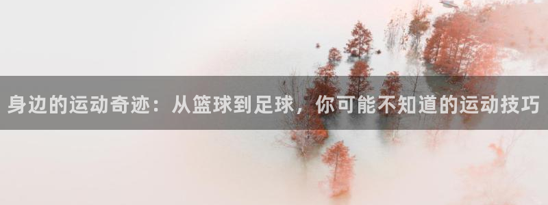 意昂32官网
