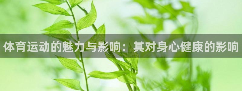 意昂32体育登录入口
