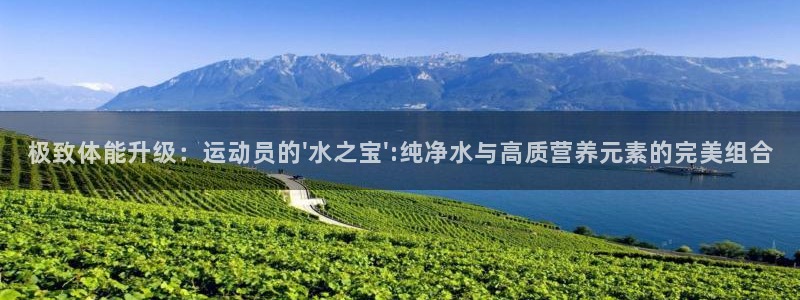 意昂3零能源集团